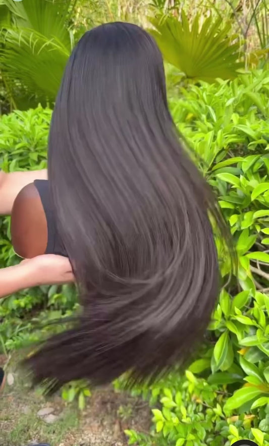 Straight Wig Burmese Hair 13x6